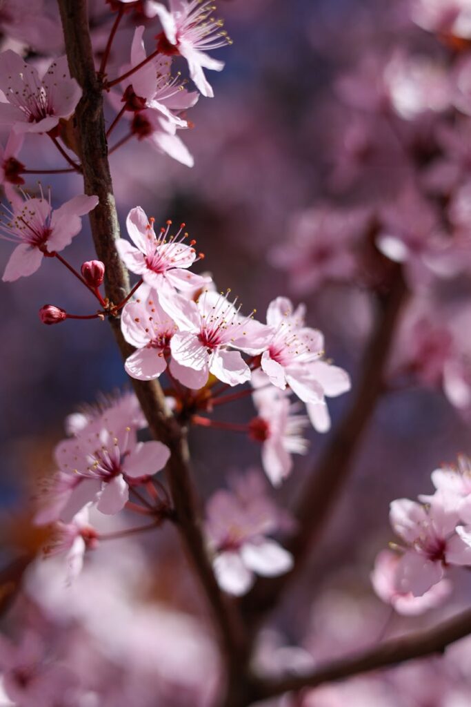 Blumendesign und Brautstrauß – Inspirationen für Hochzeiten in Kassel und Nordhessen